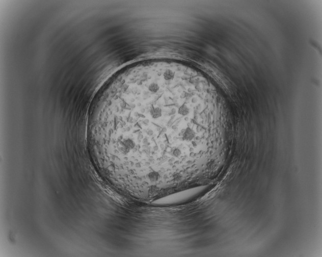 X0000097851228200804041459