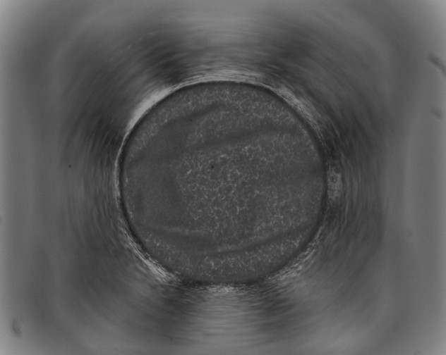 X0000097851230200804041459