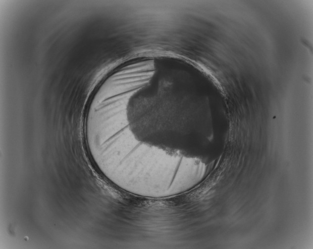 X0000097851231200804041459