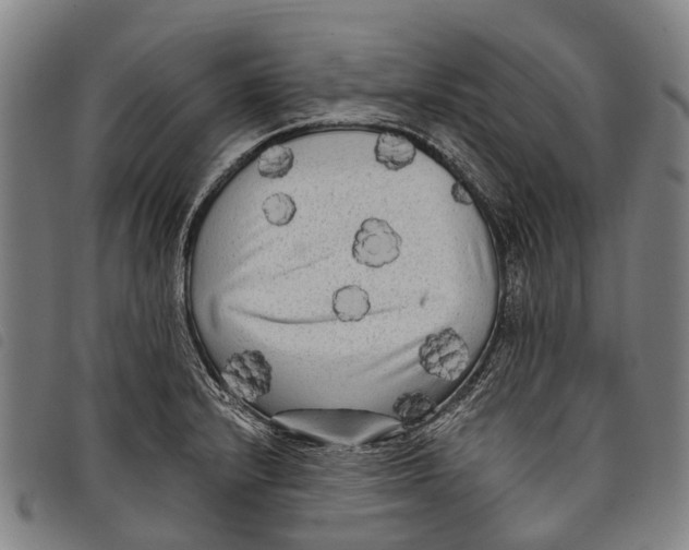 X0000097851232200804041459