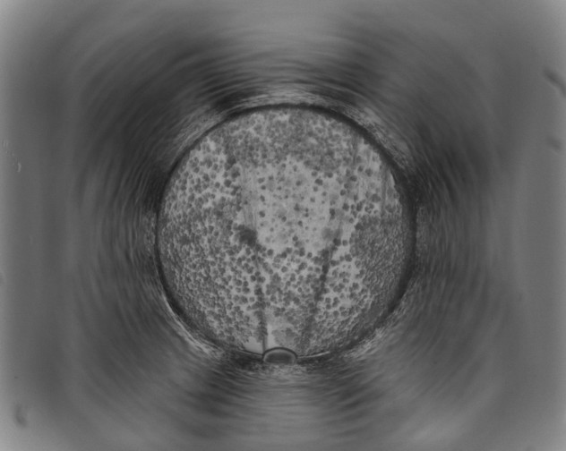 X0000097851233200804041459