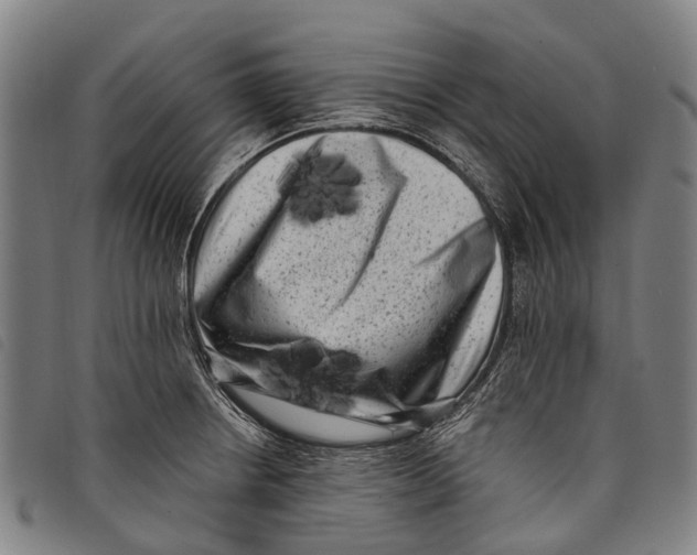 X0000097851234200804041459