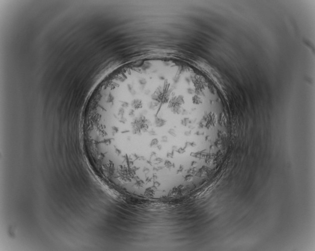 X0000097851235200804041459