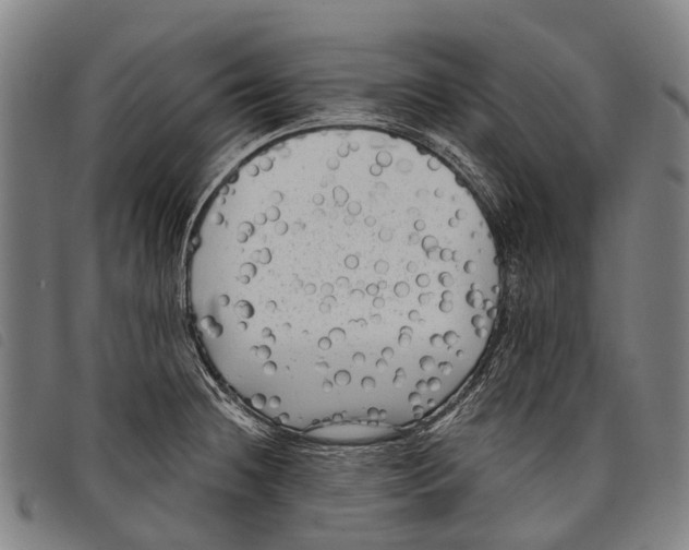 X0000097851236200804041459