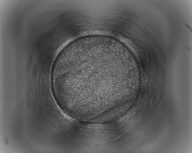 X0000097851237200804041459