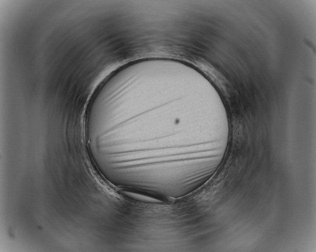 X0000097851238200804041459