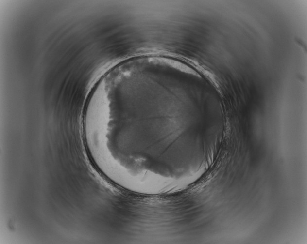 X0000097851239200804041459