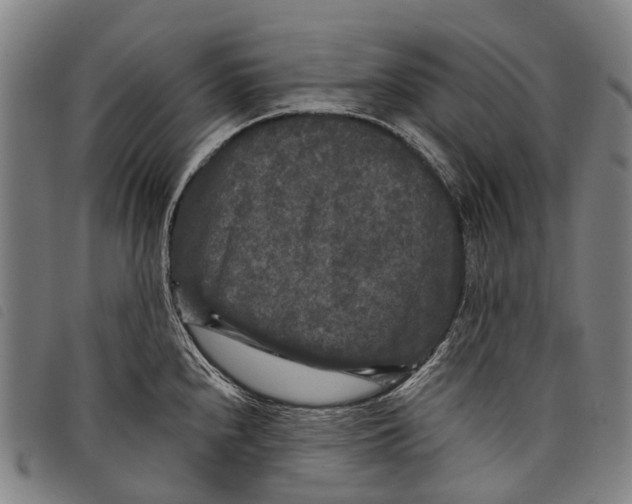 X0000097851240200804041459