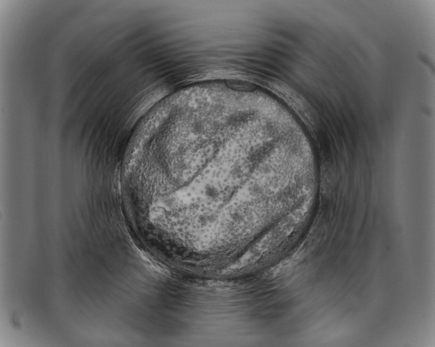 X0000097851241200804041459