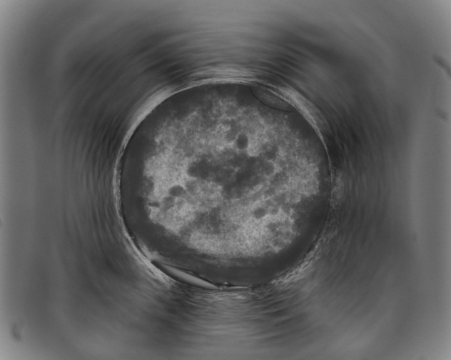 X0000097851243200804041459