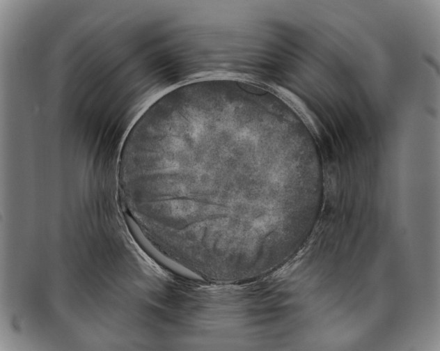 X0000097851244200804041459