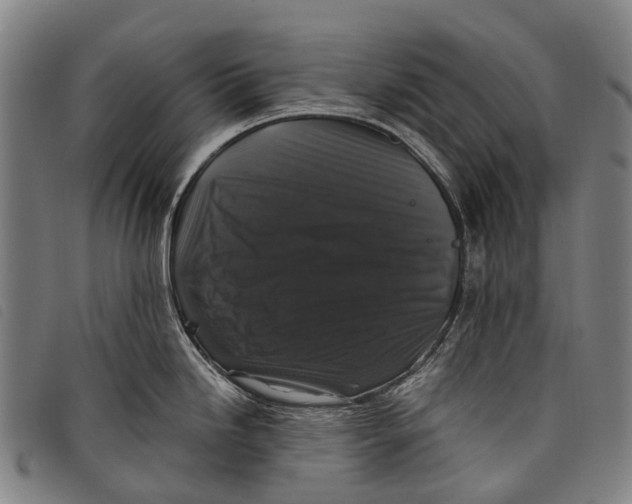 X0000097851246200804041459