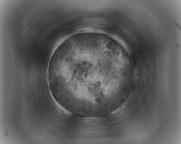 X0000097851247200804041459