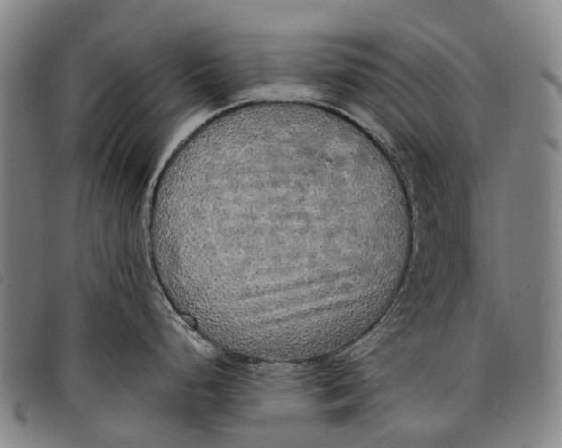 X0000097851248200804041459