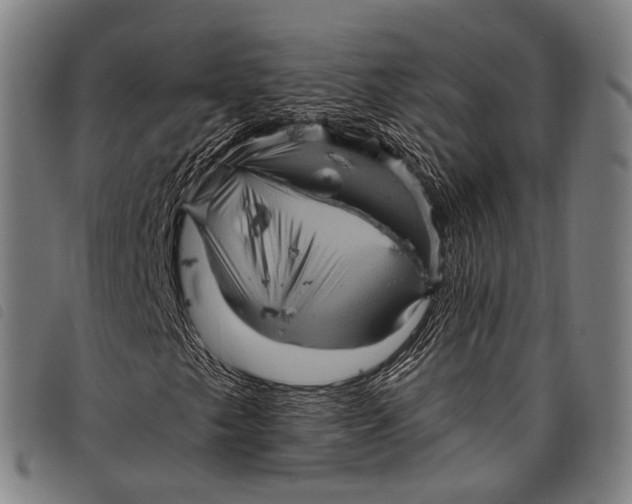 X0000097851249200804041458