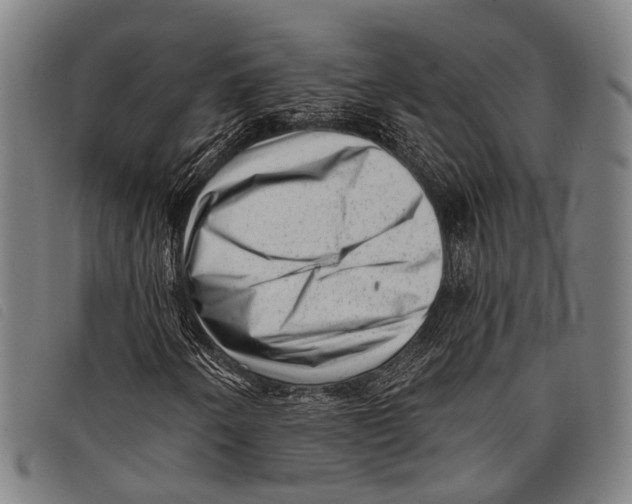 X0000097851250200804041458