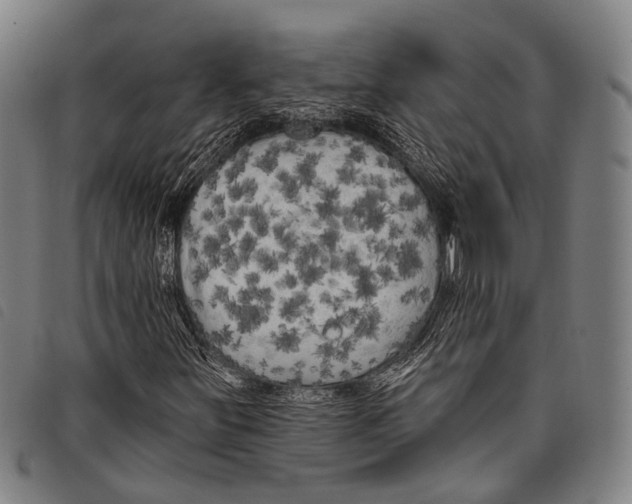 X0000097851251200804041458