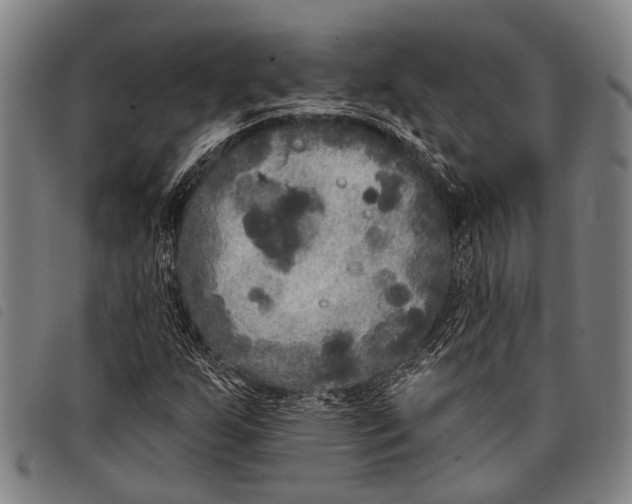 X0000097851255200804041458