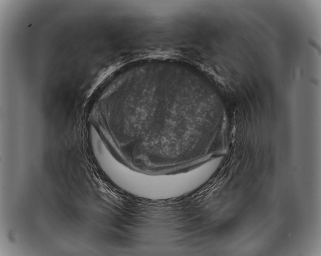 X0000097851256200804041458