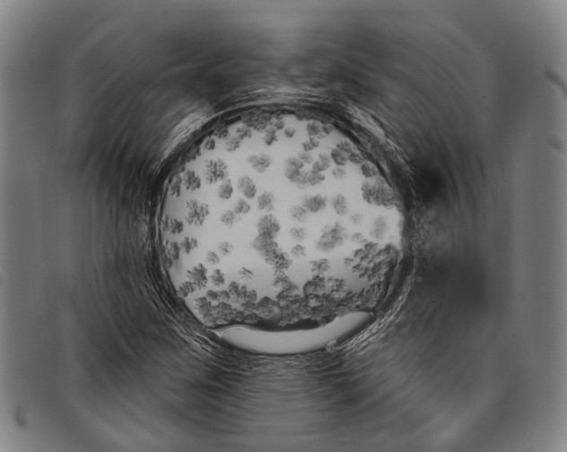 X0000097851259200804041458