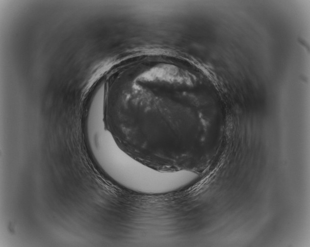 X0000097851263200804041458