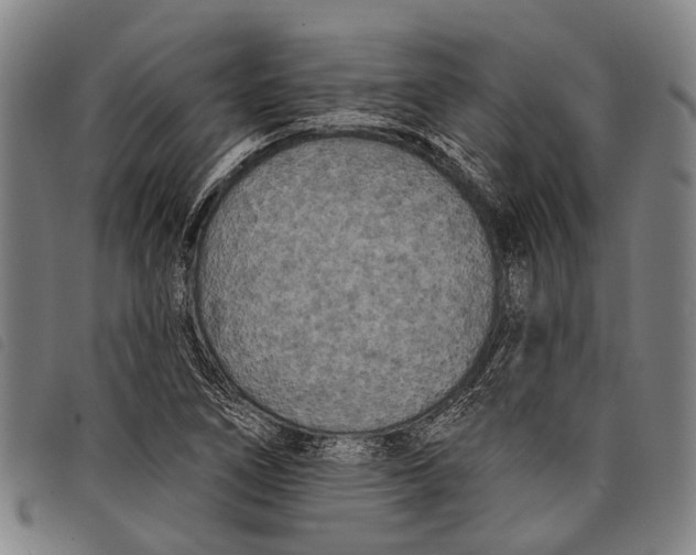 X0000097851266200804041458