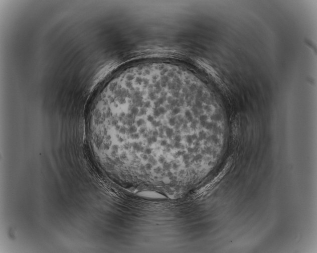 X0000097851267200804041458