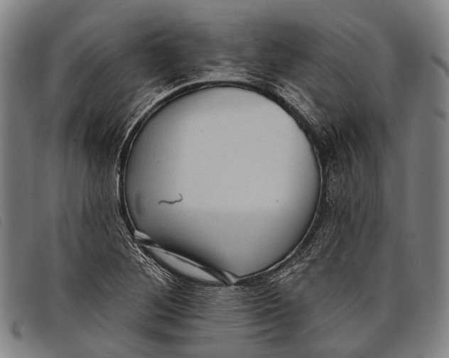 X0000097851268200804041458