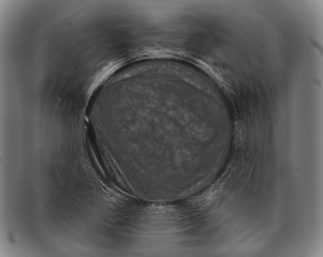 X0000097851269200804041458