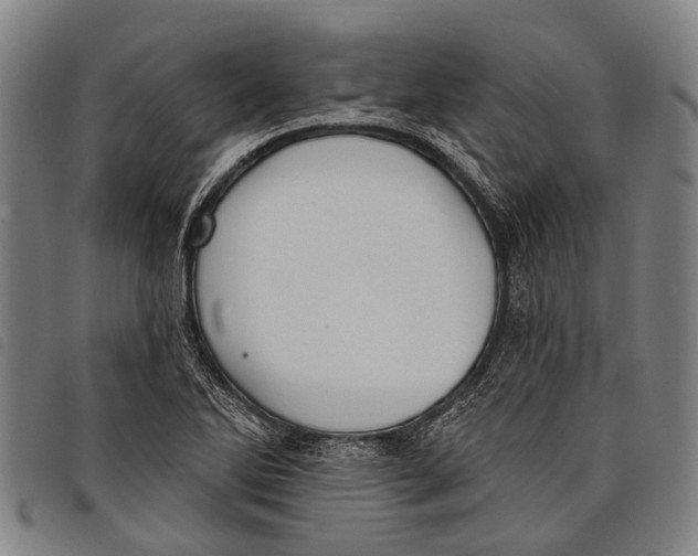 X0000097851270200804041458