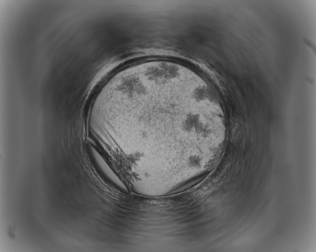 X0000097851271200804041458