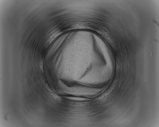 X0000097851273200804041458