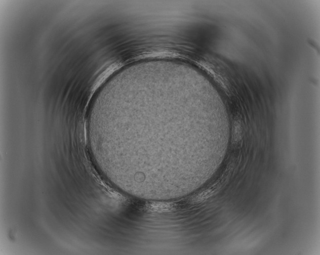 X0000097851274200804041458