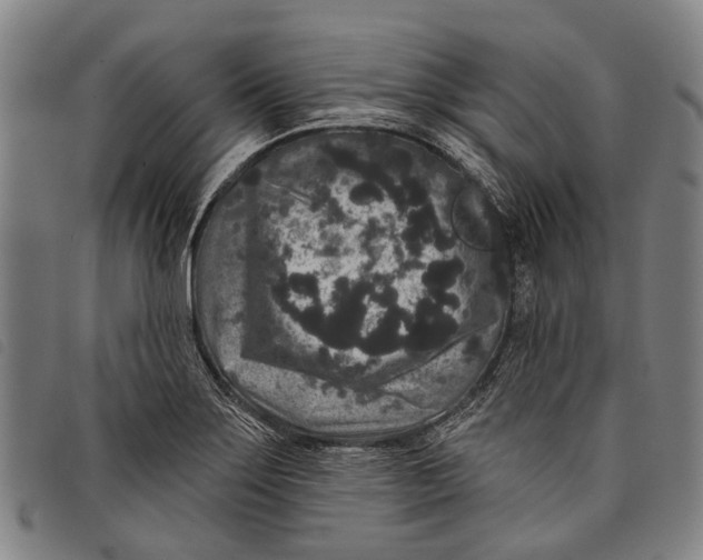 X0000097851275200804041458