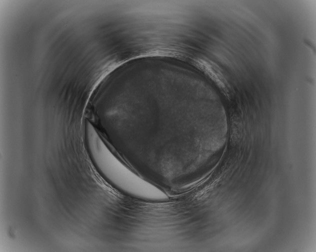 X0000097851276200804041458