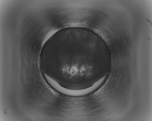 X0000097851277200804041458