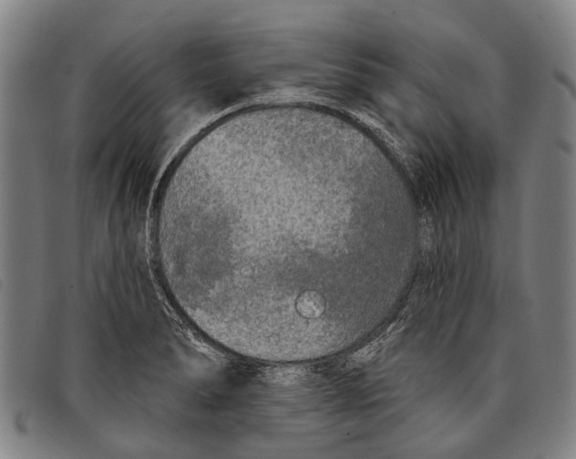 X0000097851278200804041458