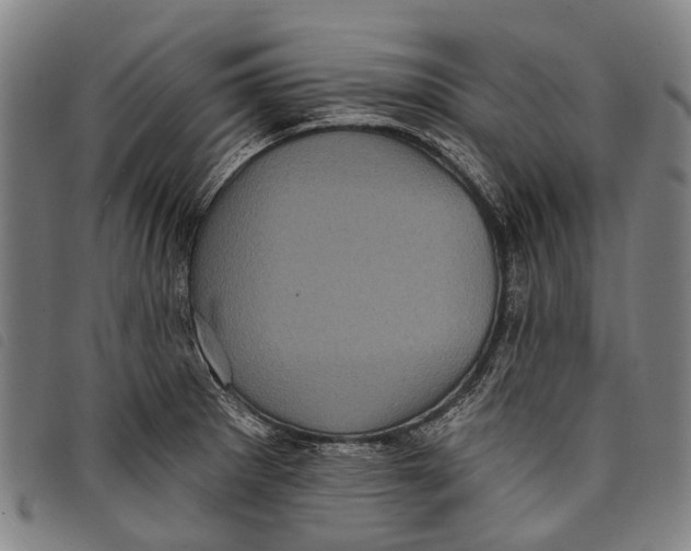 X0000097851281200804041458