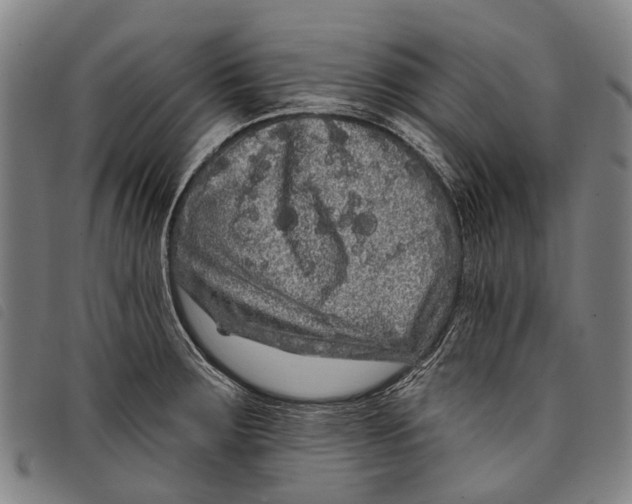 X0000097851283200804041458