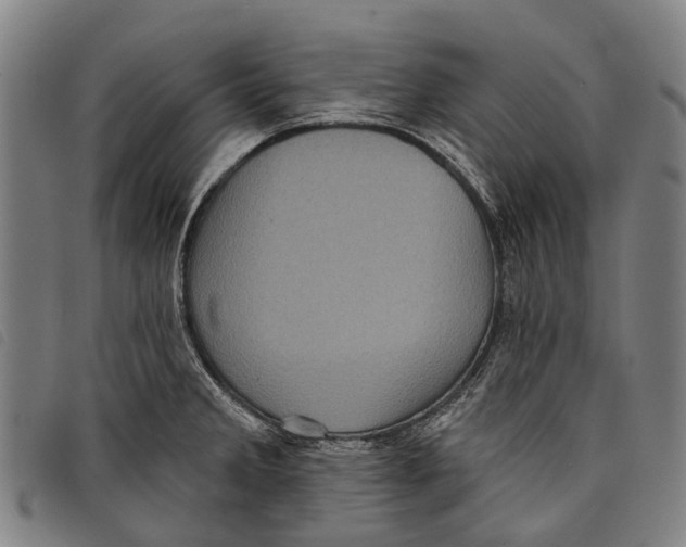 X0000097851285200804041458