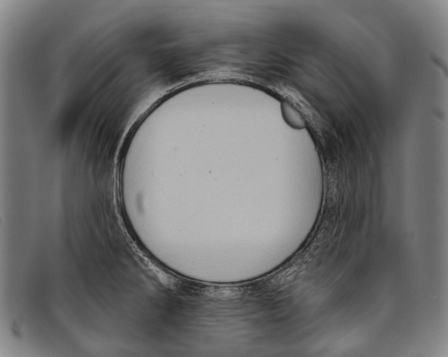 X0000097851286200804041458