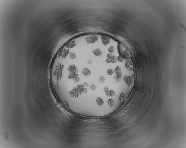 X0000097851287200804041458