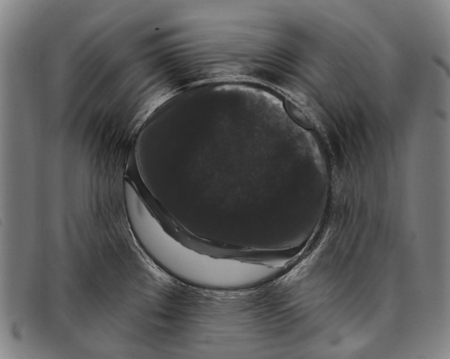 X0000097851289200804041458