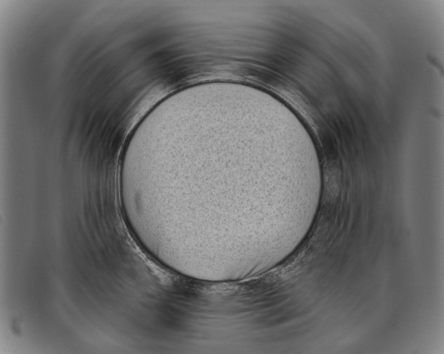 X0000097851290200804041458