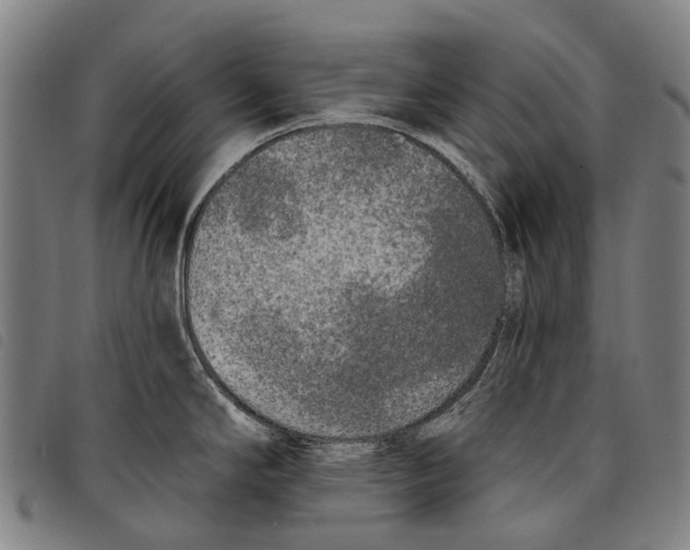 X0000097851294200804041458