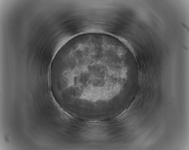 X0000097851295200804041458