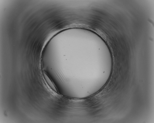 X0000097851296200804041458