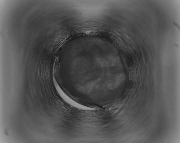 X0000097851298200804041457