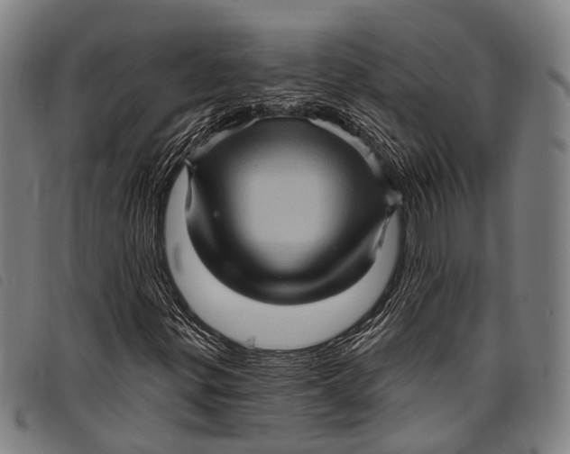 X0000097851299200804041457