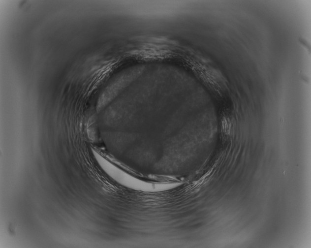 X0000097851300200804041457